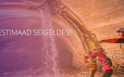 ACE Logisticsi klientidel võimalik osaleda  ACE Xdreamil 25% soodsamalt!