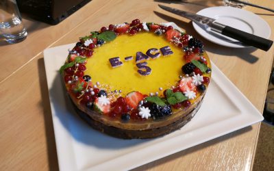 ACE Logisticsi e-keskkonnal täitus 5 aastat