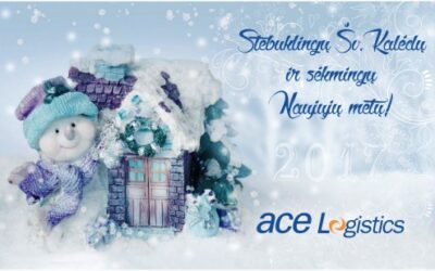 Stebuklingų Šv. Kalėdų ir sėkmingų Naujųjų metų!
