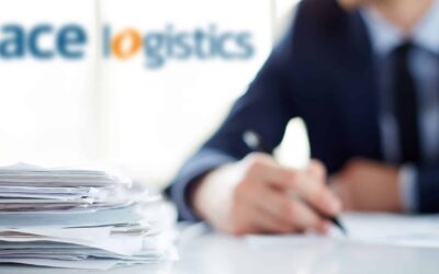 SĖKMINGŲ 2019 METŲ APŽVALGA