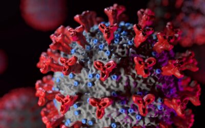 The impact of coronavirus to ACE Logistics and the movement of the goods