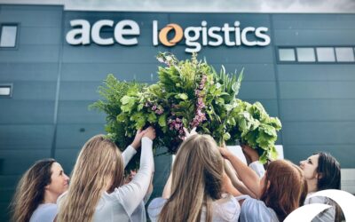 Working hours during the holiday!